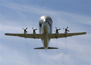 Illustration for article titled Super Guppy